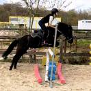 Ponette B