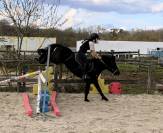 Ponette B