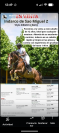 Vendo caballo 