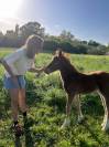 PONETTE D POULINI&Egrave;RE CSO