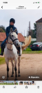 Aqps jument 
