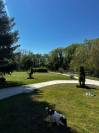 Luxurious equestrian property  Ain