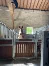 Luxurious equestrian property  Ain