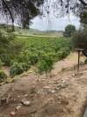 Villas et terrains en Espagne Alicante y Murcia 