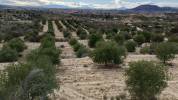 Villas et terrains en Espagne Alicante y Murcia 