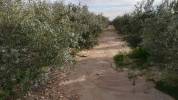 Villas et terrains en Espagne Alicante y Murcia 