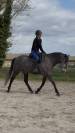 Gentil 6 ans polyvalent 