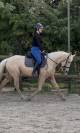 Gentille jument 6 ans 