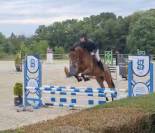 4ans pour amateur tr&egrave;s gentil 