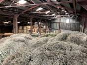 EXPLOITATION LAIT AOP Comt&eacute;