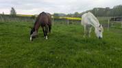 H&eacute;bergement sur equipistes &agrave; Chapelle-lez-Herlaimont