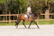 Sublime entier de 4 ans 