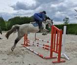 Jument sBs 8 ans 1m65