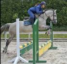 Jument sBs 8 ans 1m65