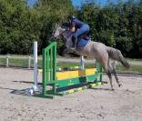 Jument sBs 8 ans 1m65