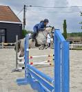Jument sBs 8 ans 1m65