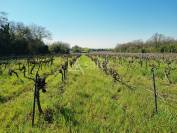 Propiedad rural En venta Gard