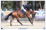 A vendre ponette 8 ans 