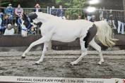 Magnifique ponette de 2 ans taille C