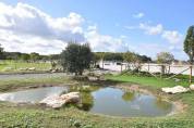 Domaine &eacute;questre d'exception &agrave; Azay-sur-Cher  Indre-et-Lo
