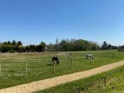 Domaine &eacute;questre d'exception &agrave; Azay-sur-Cher  Indre-et-Lo