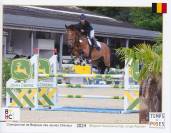 SBS - Hongre de 7 ans &ndash; 179 cm