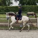 Magnifique entier PRE 4 ans 