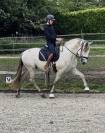 Magnifique entier PRE 4 ans 