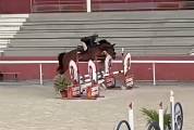 Jument de 7 ans par Candy de Nantuel