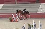 Jument de 7 ans par Candy de Nantuel