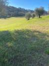 Pensione Base - Azienda Agricola Barbazallo  - Sant&rsquo;Elpidio a Mare
