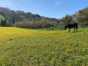 Pensione Base - Azienda Agricola Barbazallo  - Sant&rsquo;Elpidio a Mare