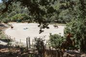Luxurious equestrian property  Bouches-du-Rh&ocirc;ne