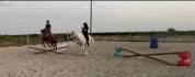 Propri&eacute;t&eacute; &eacute;questre et Elevage canin -9 chiens 