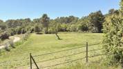 Propiedad ecuestre En venta Alpes de Alta Provenza