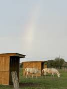 HARAS DE CUILLERET 