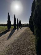 HARAS DE CUILLERET 
