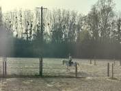 Recherche demi pension 