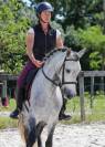 Rare ! PRE taille poney 