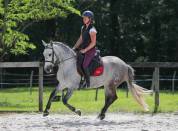 Rare ! PRE taille poney 