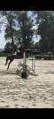 Ponette de 7 ans 