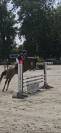 Ponette de 7 ans 