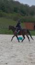 Poney hors c&ocirc;te 