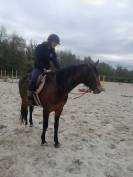 Poney hors c&ocirc;te 