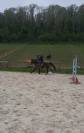 Poney hors c&ocirc;te 