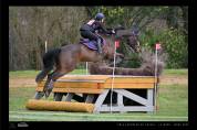 Hongre 10 ans loisir/tap