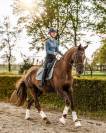 Talentvolle 4‑jarige ruin te koop