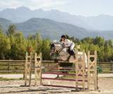 Castrone PFS Pony Francese da Sella In vendita 2016 Grigio
