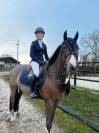 Poney d&rsquo;avenir &agrave; vendre 