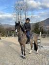 Poney d&rsquo;avenir &agrave; vendre 